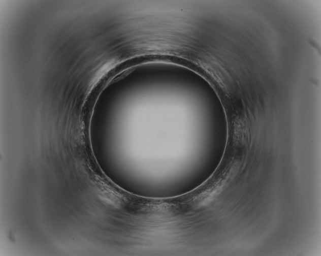 X0000096660926200802191303