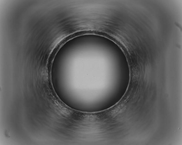 X0000096660927200802191303