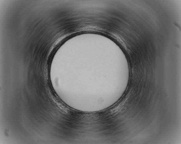 X0000096660931200802191303