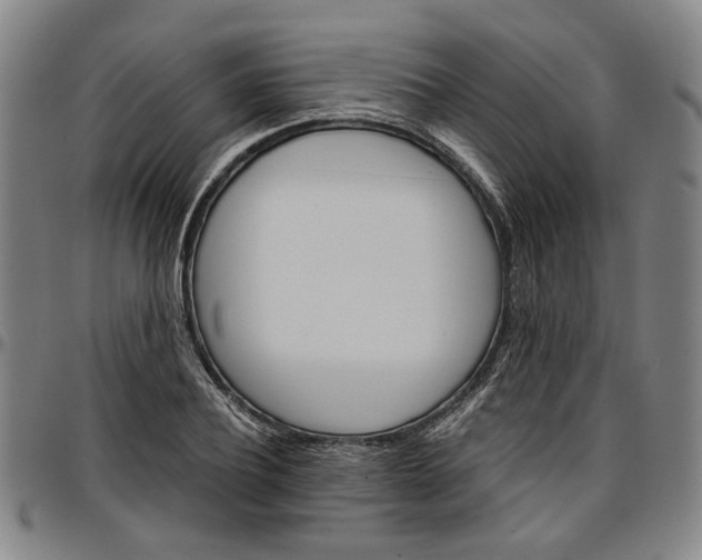 X0000096660932200802191303