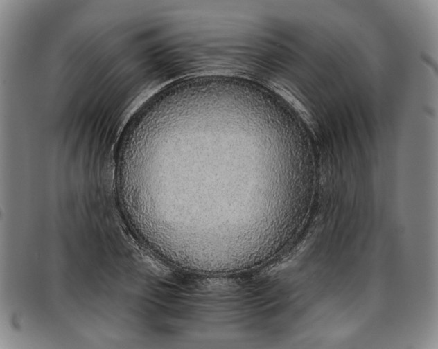 X0000096660933200802191303