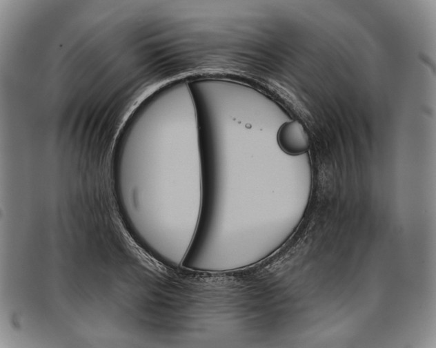 X0000096660934200802191303