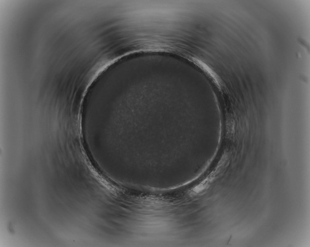 X0000096660935200802191303