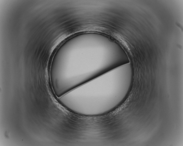 X0000096660936200802191303