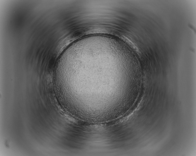 X0000096660937200802191303