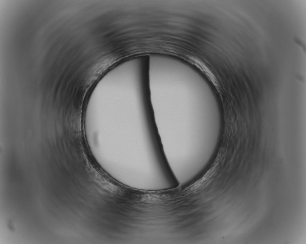 X0000096660938200802191303