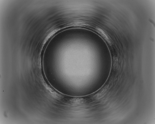 X0000096660939200802191303