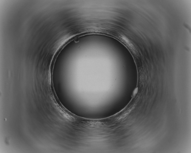 X0000096660940200802191303