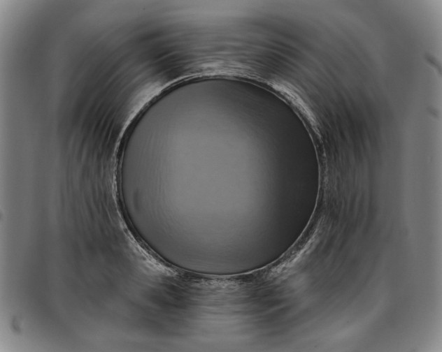 X0000096660941200802191303