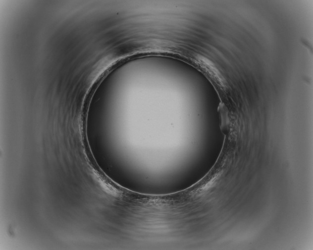 X0000096660942200802191303