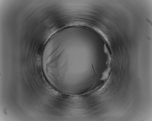 X0000096660945200802191303