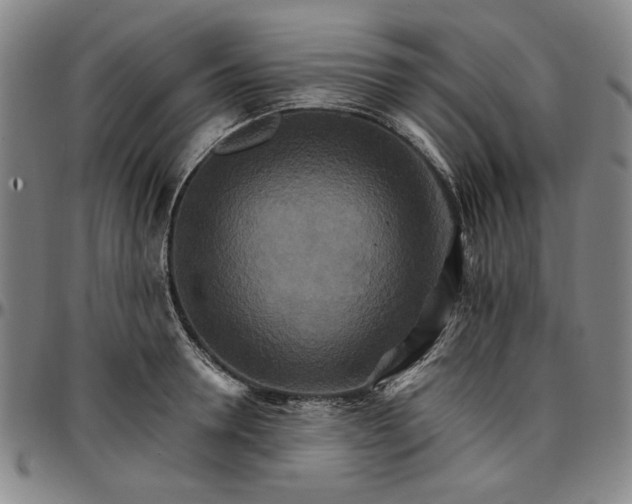 X0000096660946200802191303