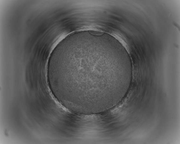 X0000096660949200802191303