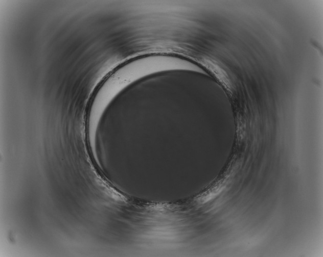 X0000096660950200802191303