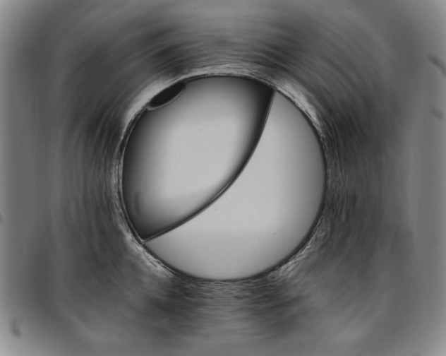 X0000096660952200802191303