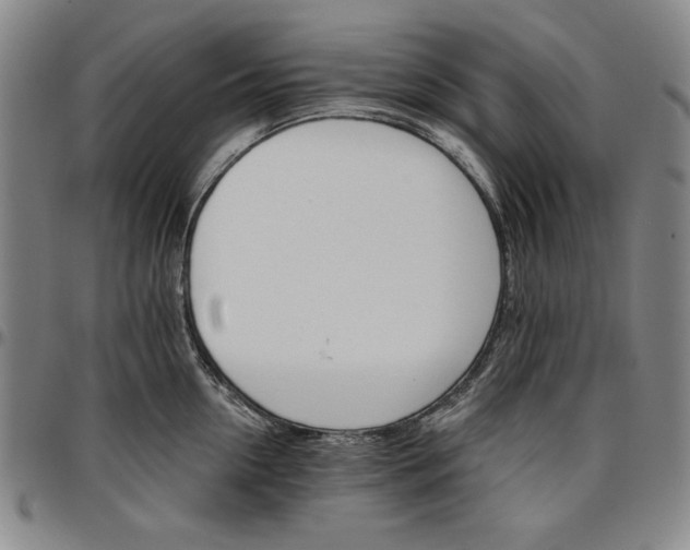 X0000096660954200802191303