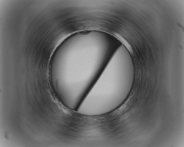 X0000096660956200802191304