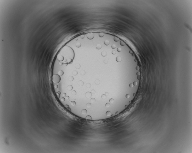 X0000096660957200802191304