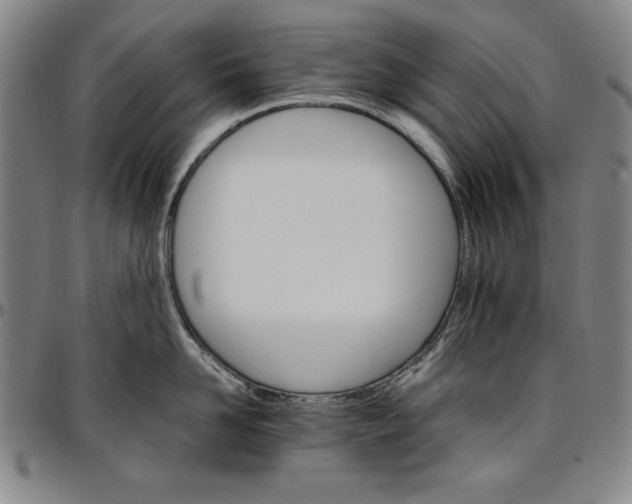 X0000096660958200802191304