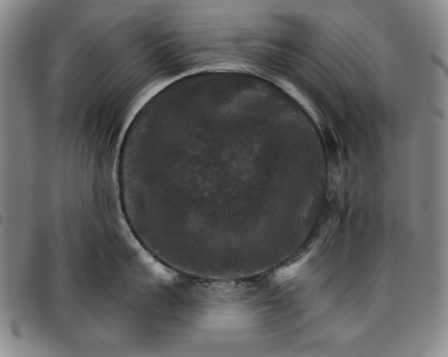 X0000096660959200802191304