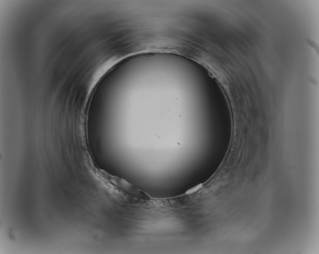 X0000096660960200802191304