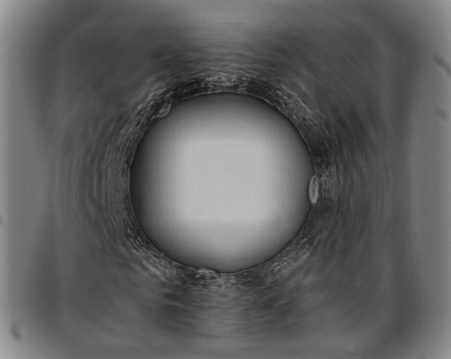 X0000096660961200802191303