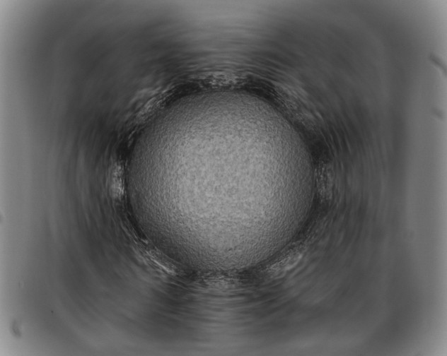 X0000096660962200802191303