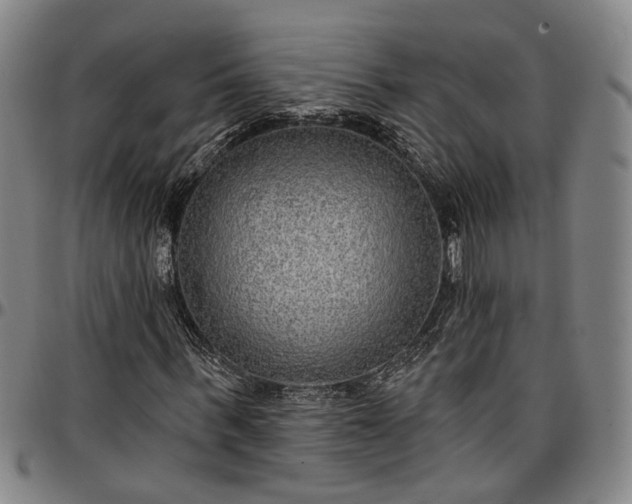 X0000096660963200802191303