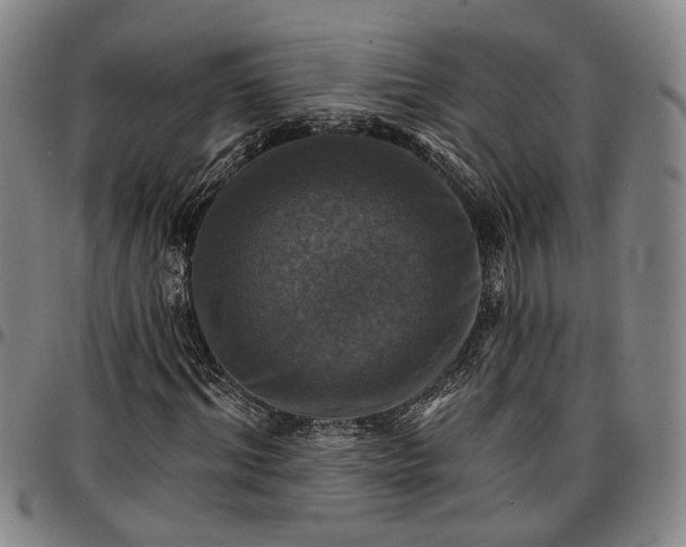 X0000096660964200802191303