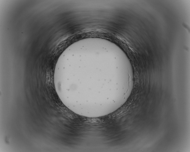 X0000096660966200802191303