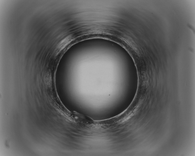 X0000096660969200802191303