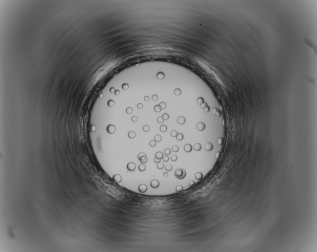 X0000096660970200802191302