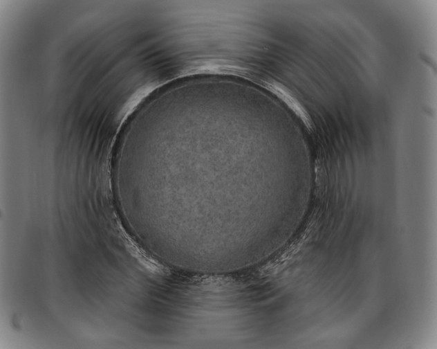 X0000096660972200802191302