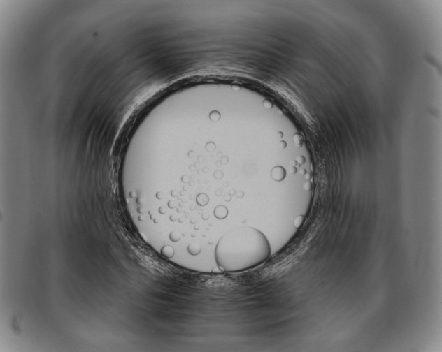 X0000096660974200802191302