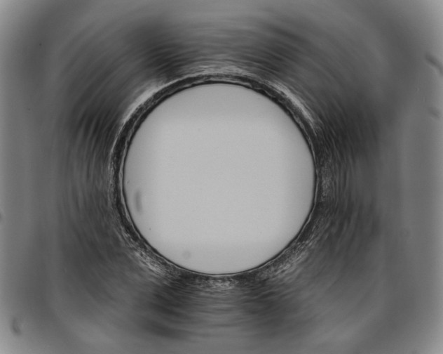 X0000096660975200802191302