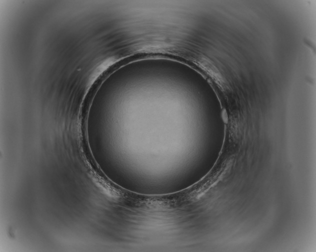 X0000096660976200802191302