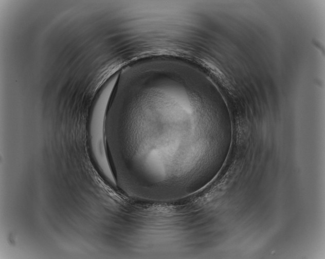 X0000096660977200802191302