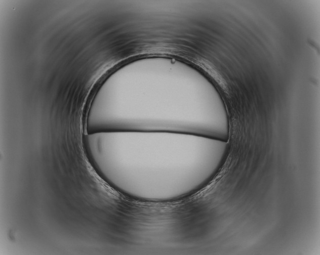 X0000096660980200802191302