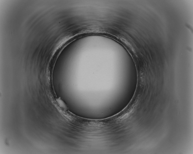 X0000096660981200802191302