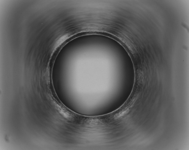 X0000096660982200802191302