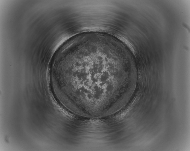 X0000096660983200802191302