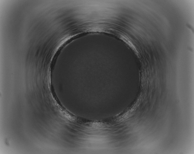 X0000096660984200802191302