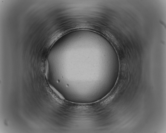 X0000096660985200802191302