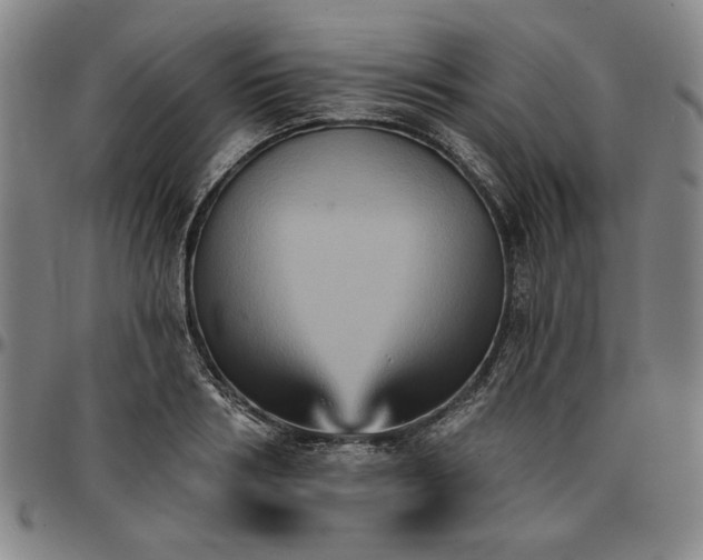 X0000096660986200802191302