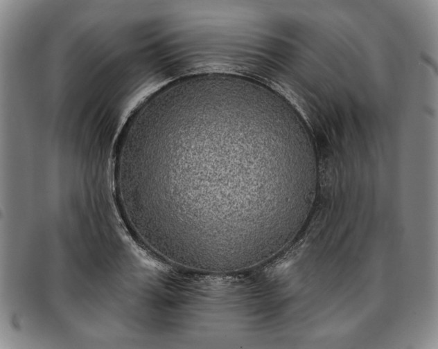 X0000096660987200802191302