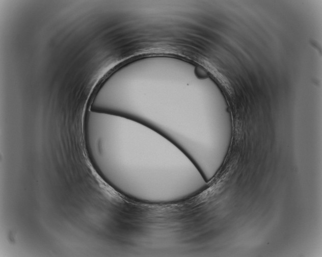 X0000096660988200802191302