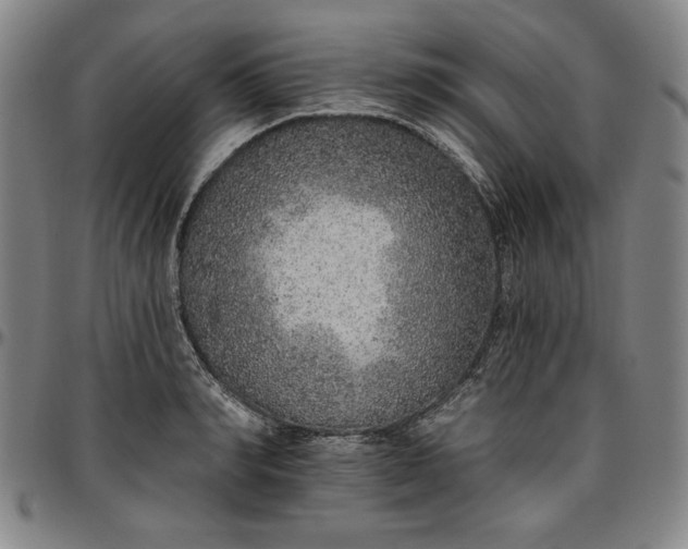 X0000096660990200802191302