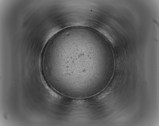 X0000096660991200802191302