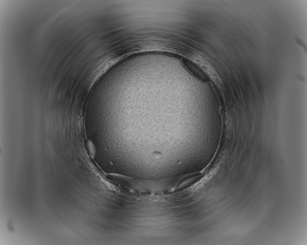 X0000096660993200802191302