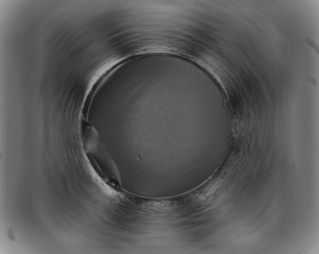 X0000096660995200802191302